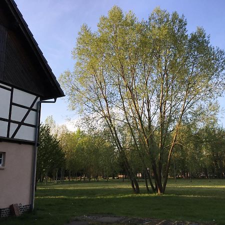 Spreewaldhaus Melcher Burg  Buitenkant foto